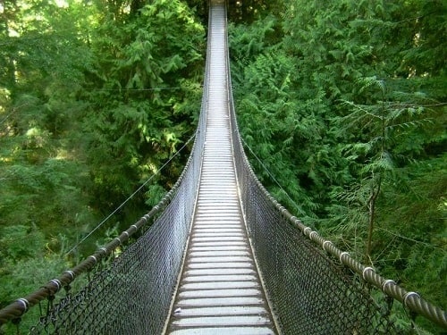 Pont suspendu de Canyon Lynn Park