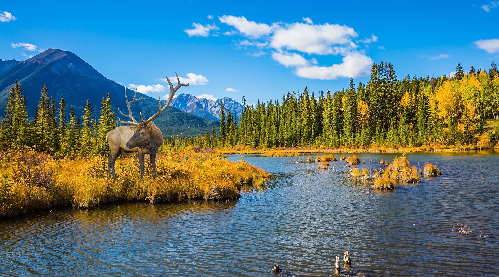 Stage au Canada – Que faire pendant l’été ?