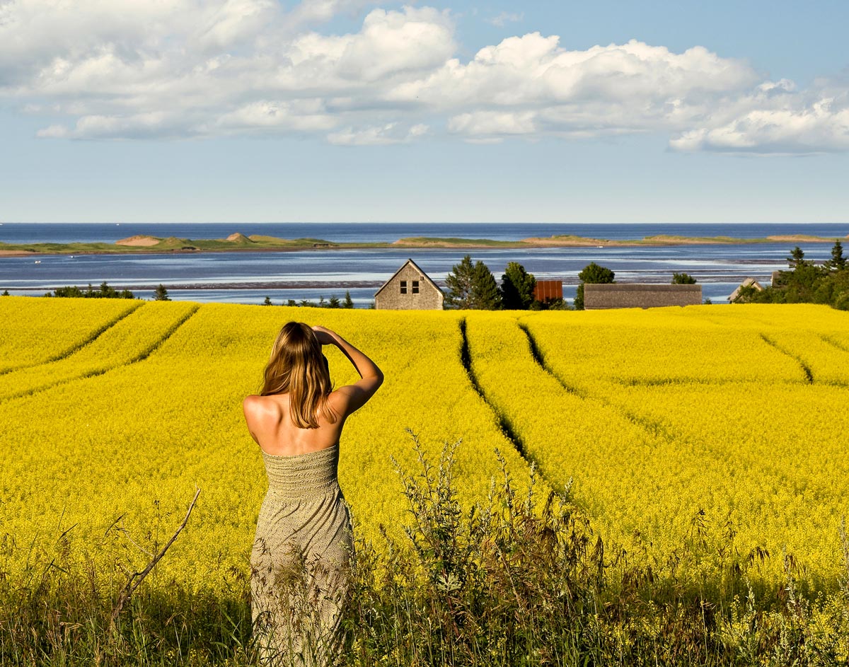 Découvre Charlottetown durant ton séjour au Canada !