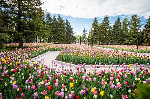 Jardin botanique - Montréal