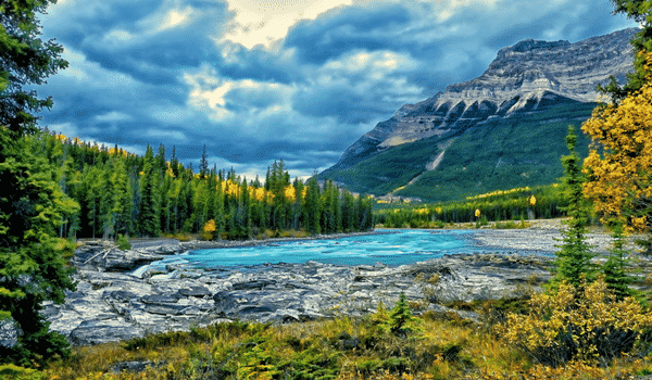 En route pour le parc Jasper pendant ton stage au Canada