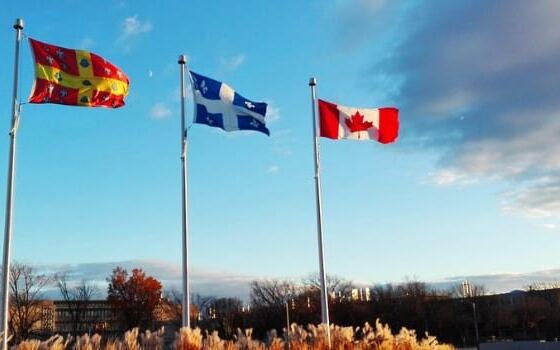 Stage au Qu&eacute;bec, Comment faire un stage au Qu&eacute;bec ?