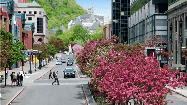 Montréal au printemps : 5 idées de sorties