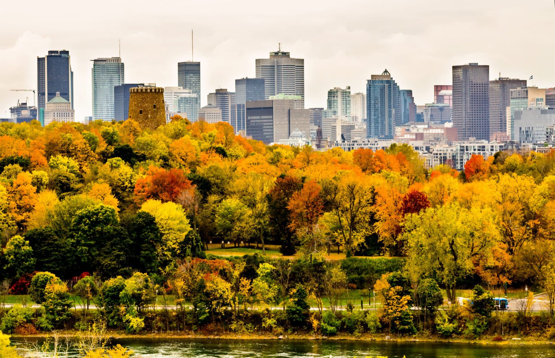 Comment faire son stage à Montréal ?