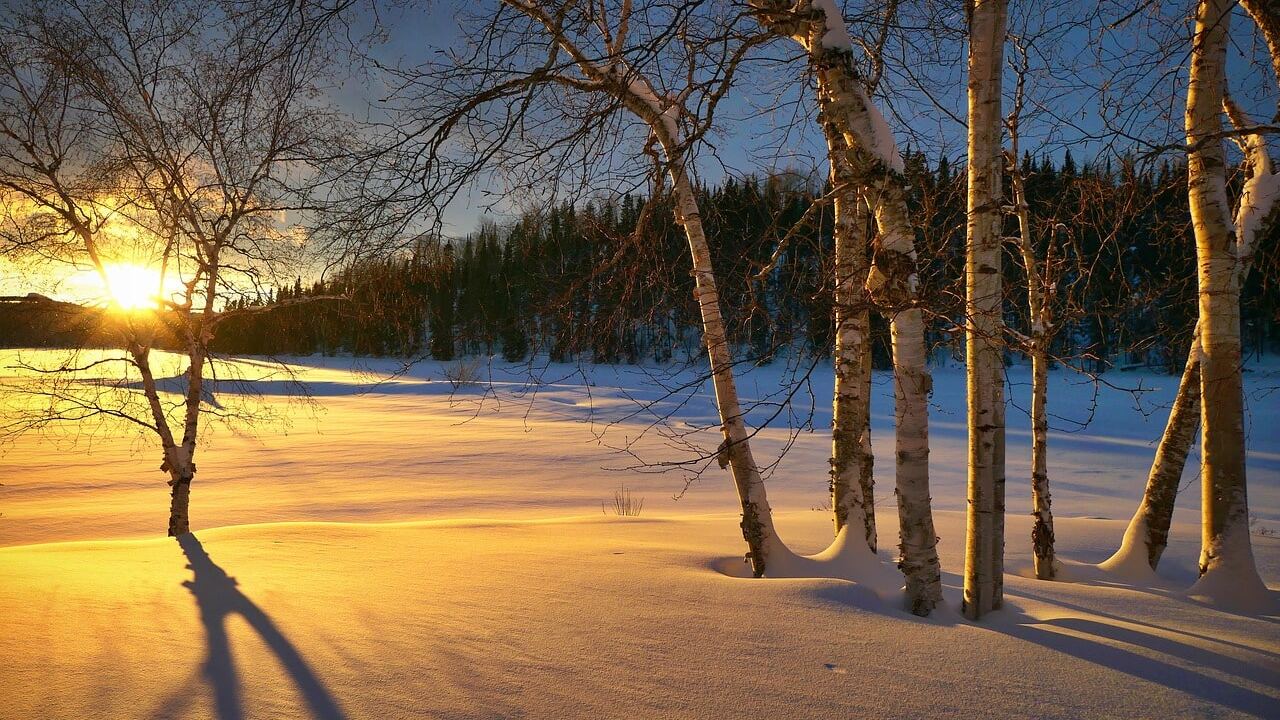 Un hiver au Qu&eacute;bec