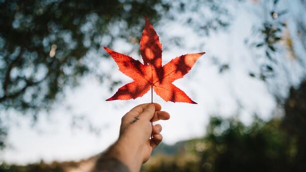 Quand partir au Canada ?